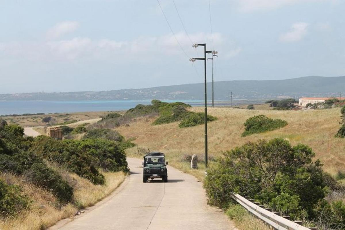 Lankytinos vietos ar pramogos nuotrauka numeris 6