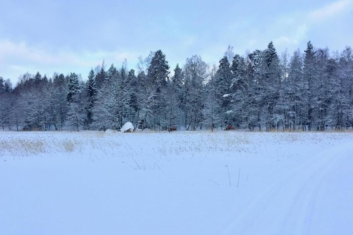 Bilde 3 av attraksjonen