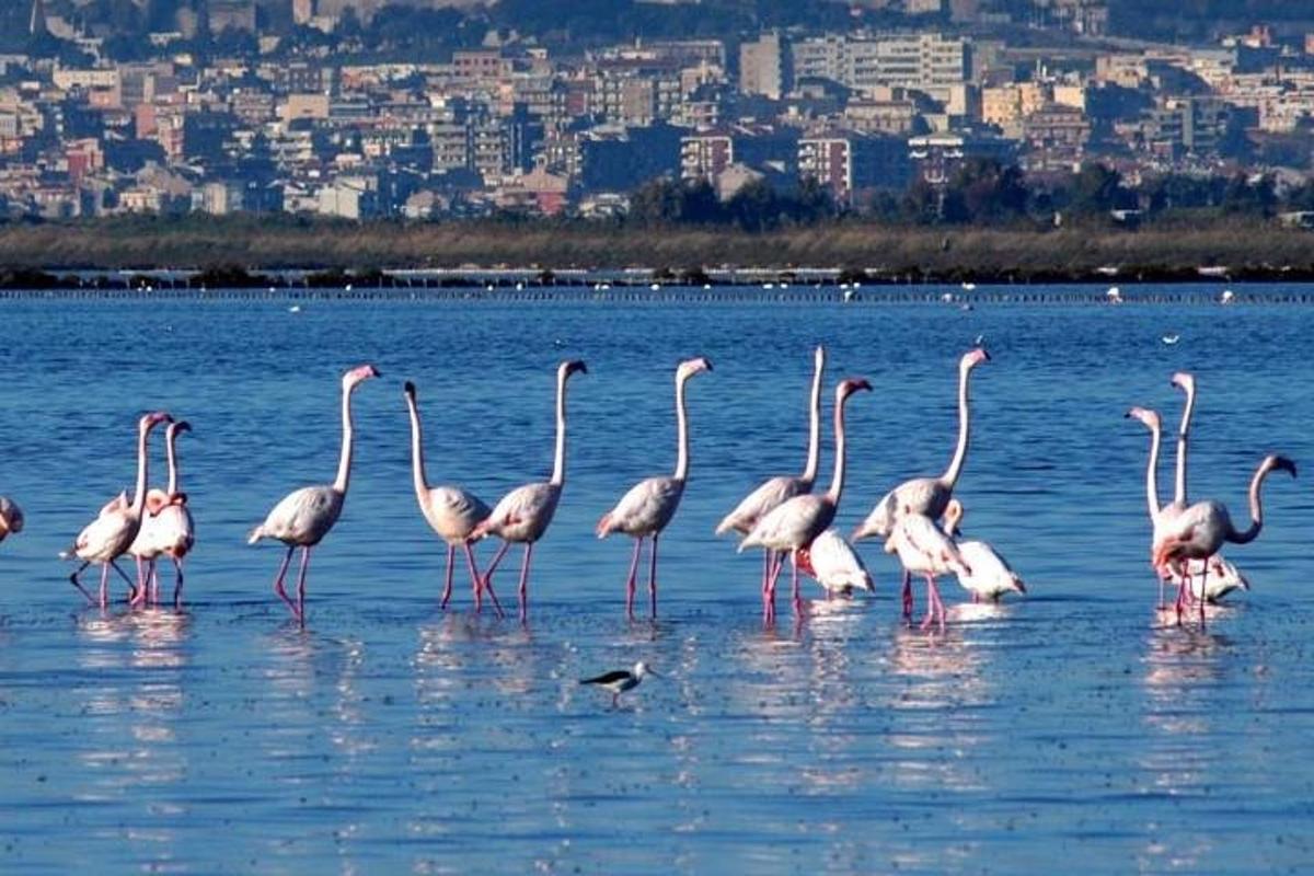 Foto 1 da atração