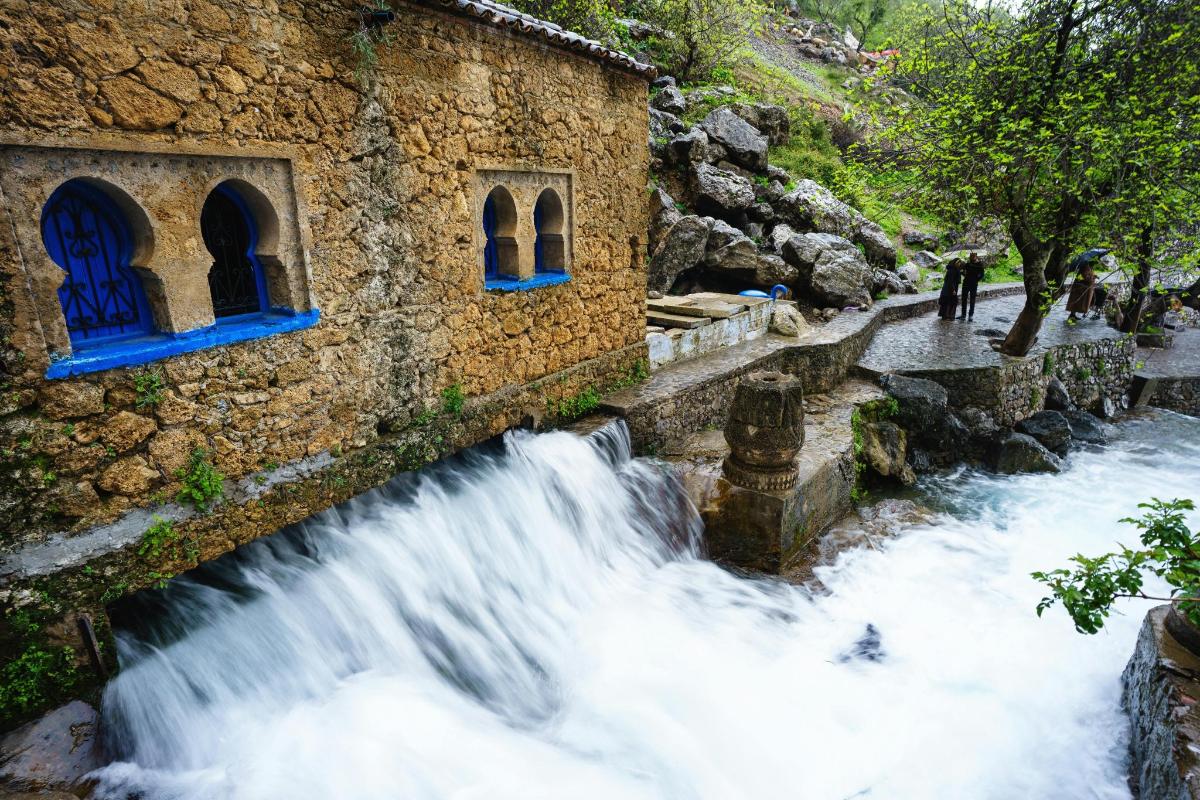 Lankytinos vietos ar pramogos nuotrauka numeris 3