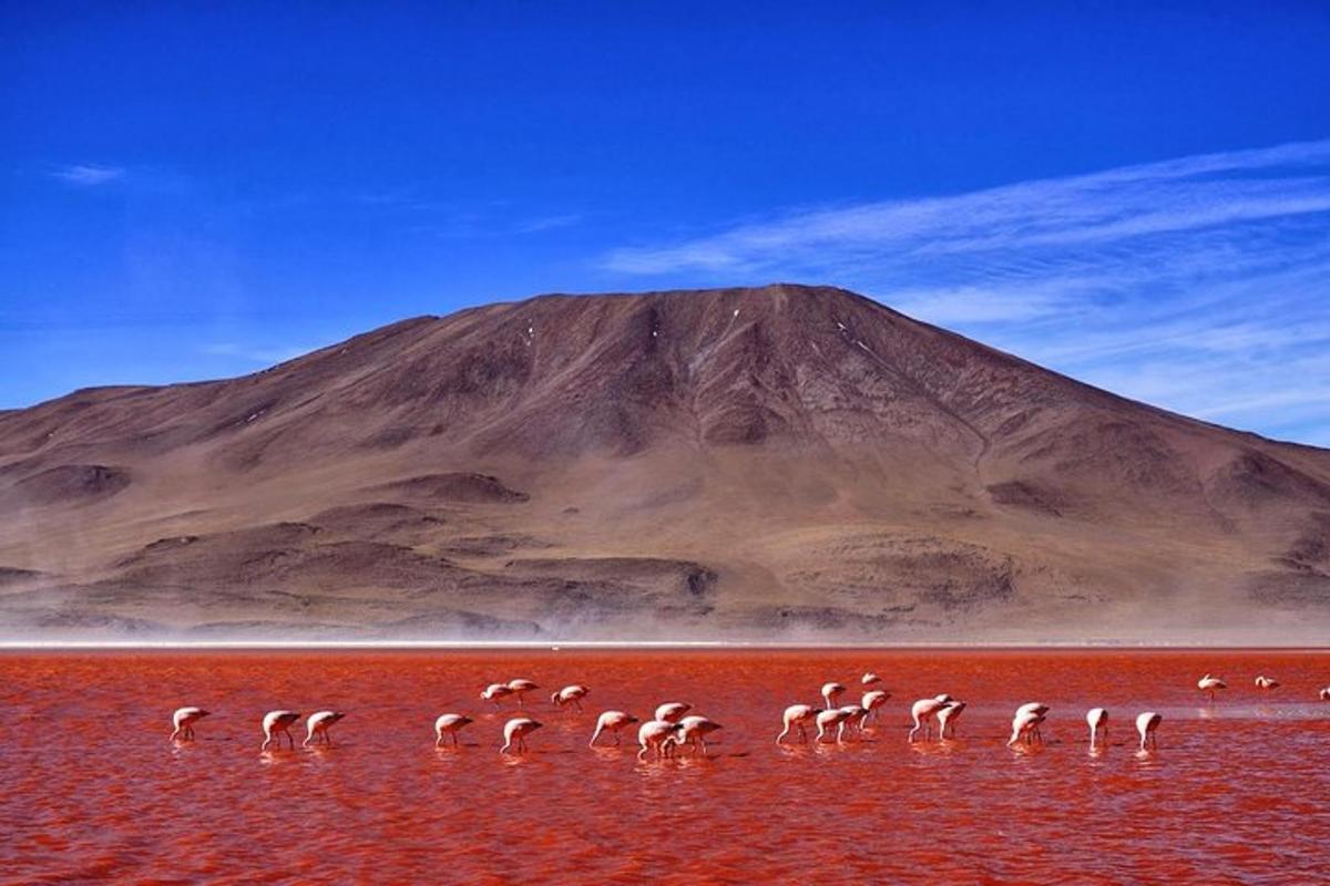 Fotografia da atração 1