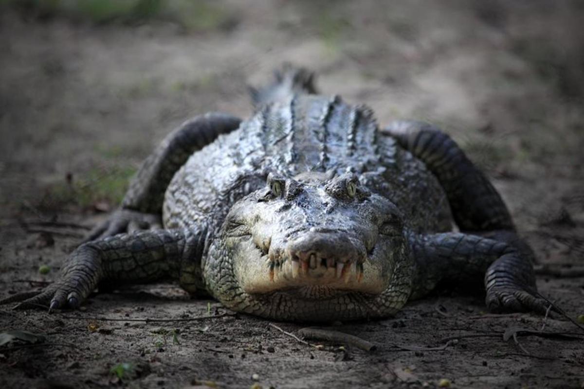 Fotografia da atração 3