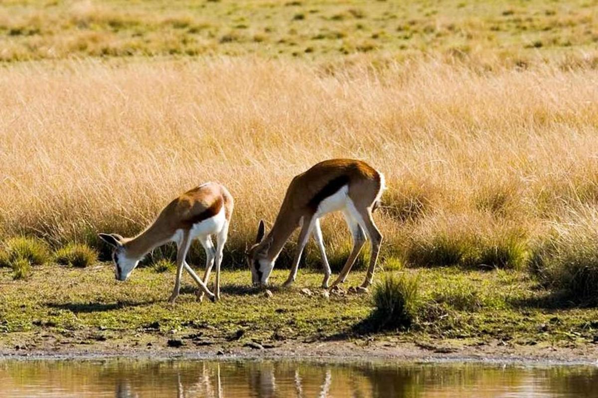 Fotografia da atração 5