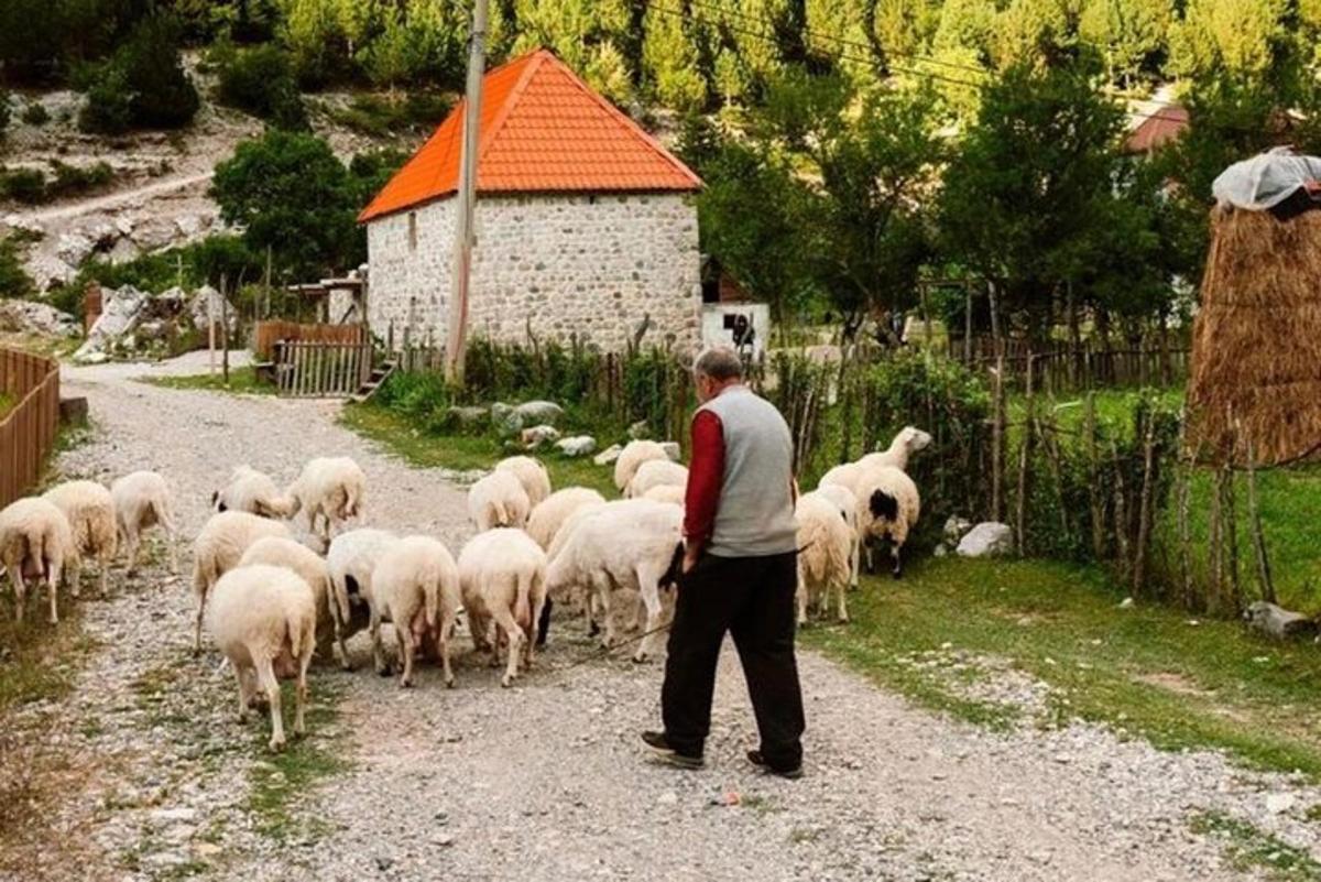 Slika znamenitosti številka 4