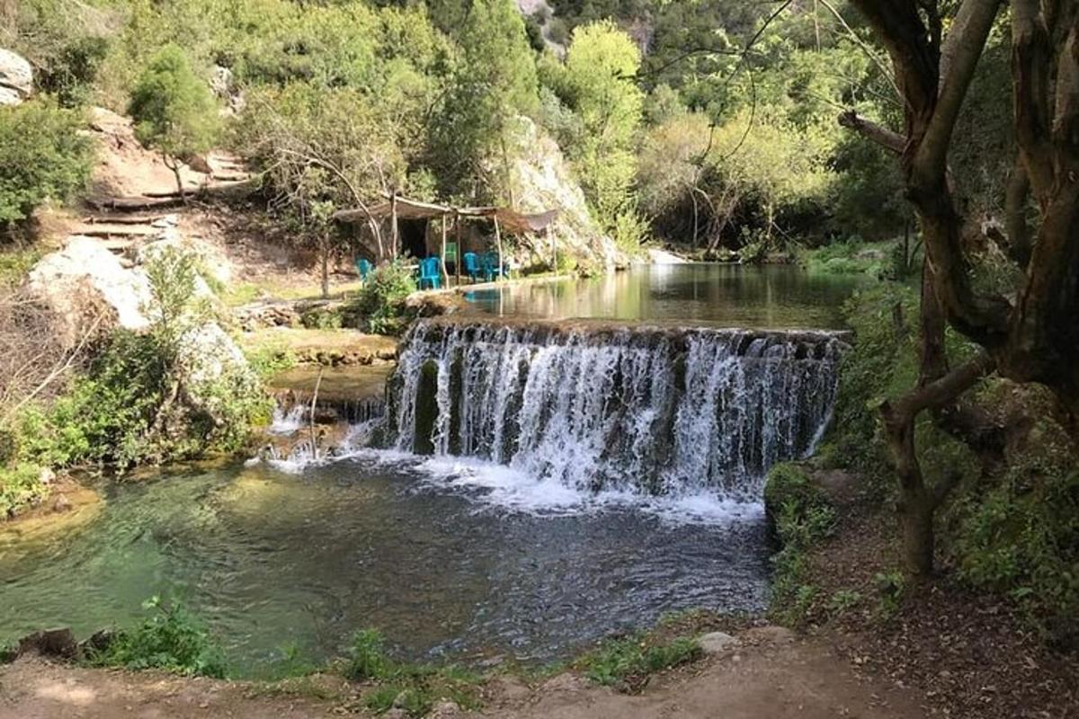 Lankytinos vietos ar pramogos nuotrauka numeris 1