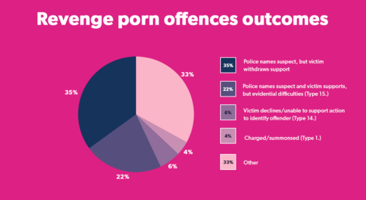 Revenge porn offences outcomes pie chart