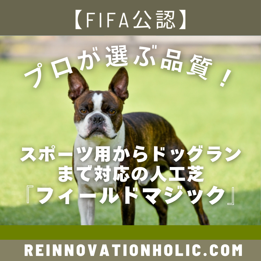 FIFA公認】フィールドマジック