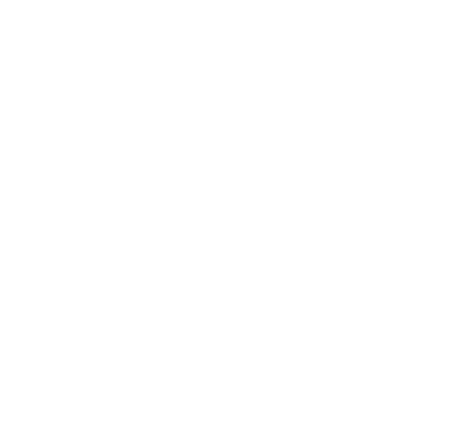 IDC company logo