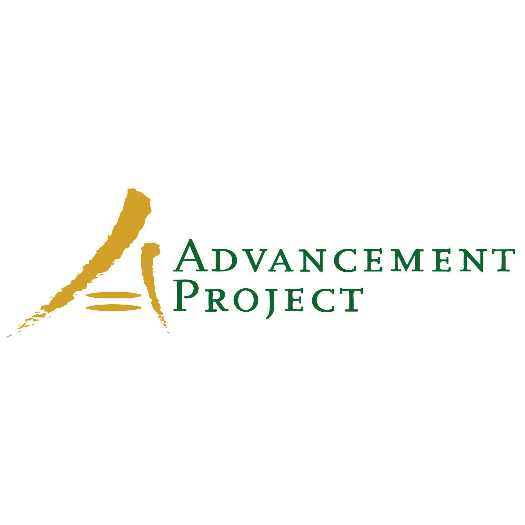 Advancement Project