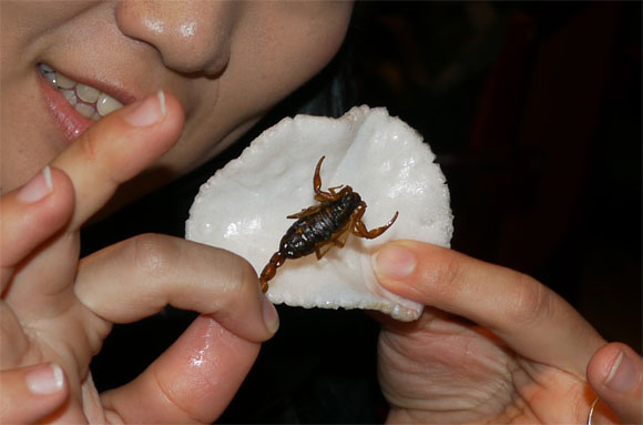 新宿でサソリを食べてみた / 信じられないけどサクサクで美味しすぎる