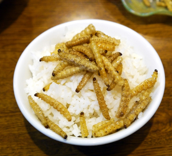 イモムシをご飯に乗せて食べたらウマすぎて笑った / イモムシだけでご飯3杯おかわりできるレベル