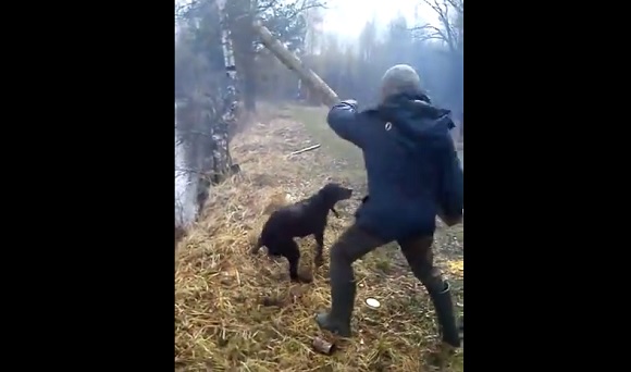 【過酷】ロシアでは犬に棒を取ってこさせる遊びもロシアンレベル！