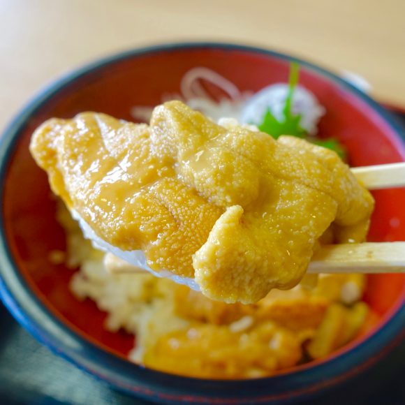 【北海道グルメ】漁師直営の「至高のウニ丼」は100人待ちでも絶対に食べるべき！ 積丹町『みさき』