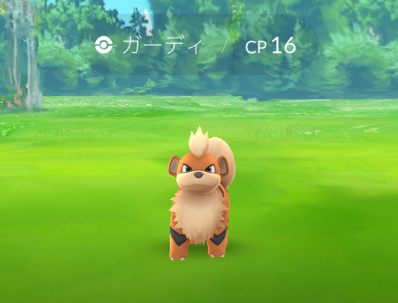 【ポケモンGO攻略】「東京屈指のガーディの巣」とウワサの『東綾瀬公園』が静かにアツい