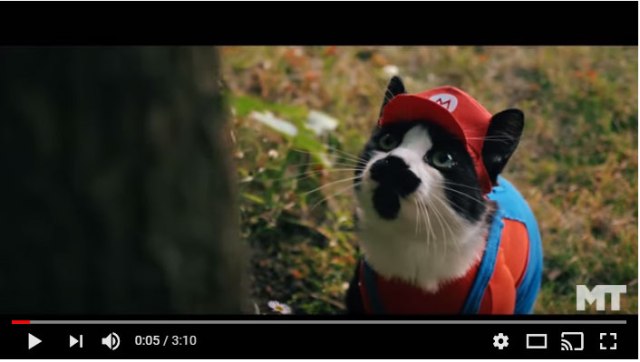 【ネコマリオ】もしマリオが本物の猫だったら？ 『スーパーマリオ』を猫で実写化した動画が可愛すぎ！ クッパもキュン死降伏するレベル