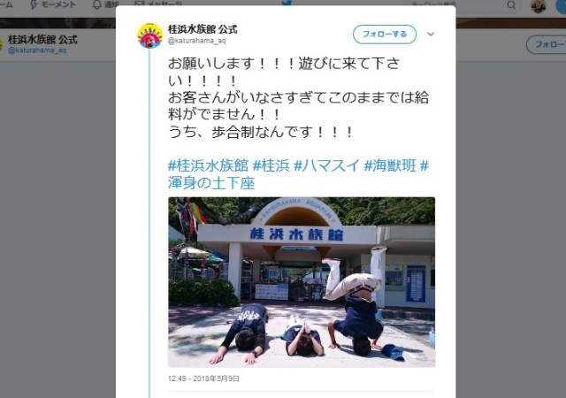 【悲壮】「お願いだから遊びに来てください！」桂浜水族館の『渾身の土下座』がエクストリームすぎる