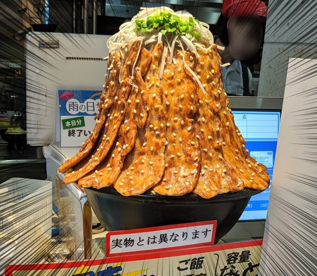 【メガ盛り】サービスエリア最強レベル「とん丼 筑波山」はデカ過ぎ注意！ 常磐自動車道「友部SA（下り）」