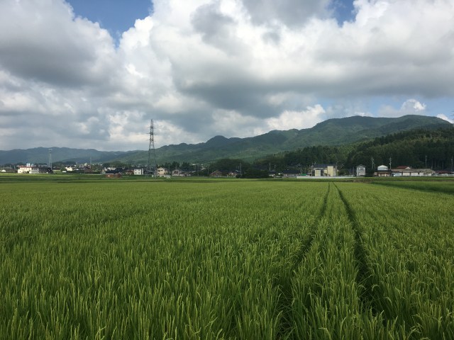 【コラム】地方移住した私がこれから移住する人に絶対に伝えたい現実 / これだけは事前に知っておきたかった～銀行の話編～