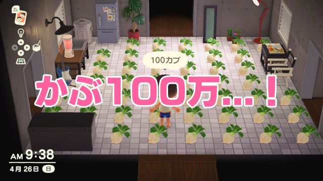 【あつ森】目指せ貧乏脱出！「カブ100万で大勝負する」の巻 / 第3回「あつまれどうぶつの森」日記