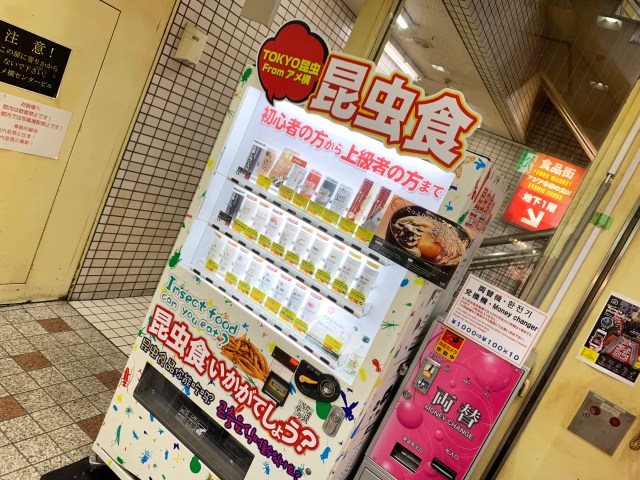 【閲覧注意】上野アメ横の昆虫食自販機限定コオロギ「キャラメル味」はどれくらいキャラメルなのか？ 食べてみたら罠だった