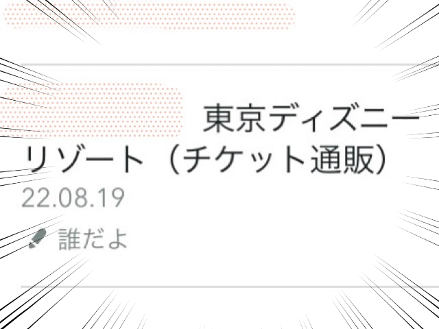 【許さん】知らない人が私のお金でディズニーを楽しもうとしていた話