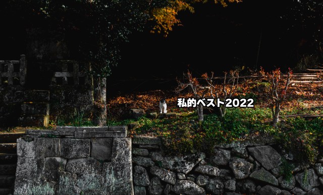 【私的ベスト】記者が厳選する2022年のお気に入り記事 / ぶっちゃけトーク祭り