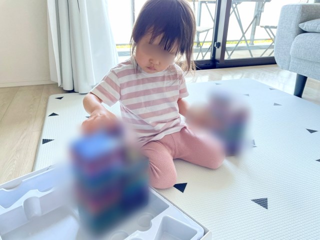 【懐かしい…】妻が買ってきた子供用の「知育ブロック」← 平成育ちにはこれが〇〇に見える？