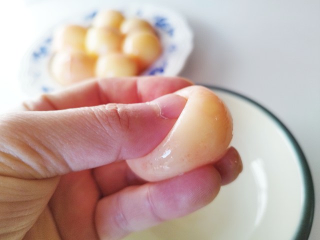 【衝撃】サメの卵の目玉焼きを食べてみた結果 → ある昆虫の味を思い出した「○○○○やないか」