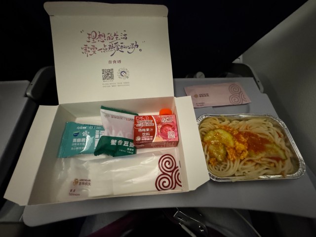 【世界の機内食】ブチギレながら食べた吉祥航空の「世界一のびたパスタ」が悔しいけど最高だった / あと深夜の羽田空港は地獄だ気をつけろ