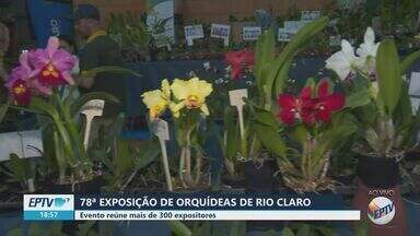 Exposição nacional de orquídeas movimenta Rio Claro - Evento reúne mais de 300 expositores do país.