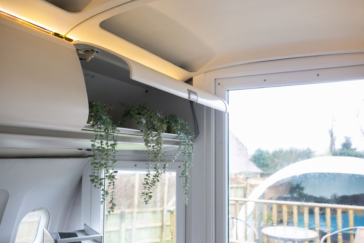 Plantas ocupam o lugar das malas nos compartimentos superiores do avião desativado — Foto: Reprodução / Apple Camping