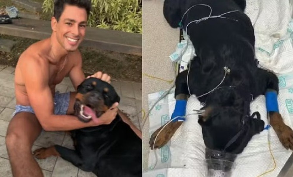 Cauã Reymon lamentou a morte do seu cão nas redes sociais — Foto: Reprodução/Instagram