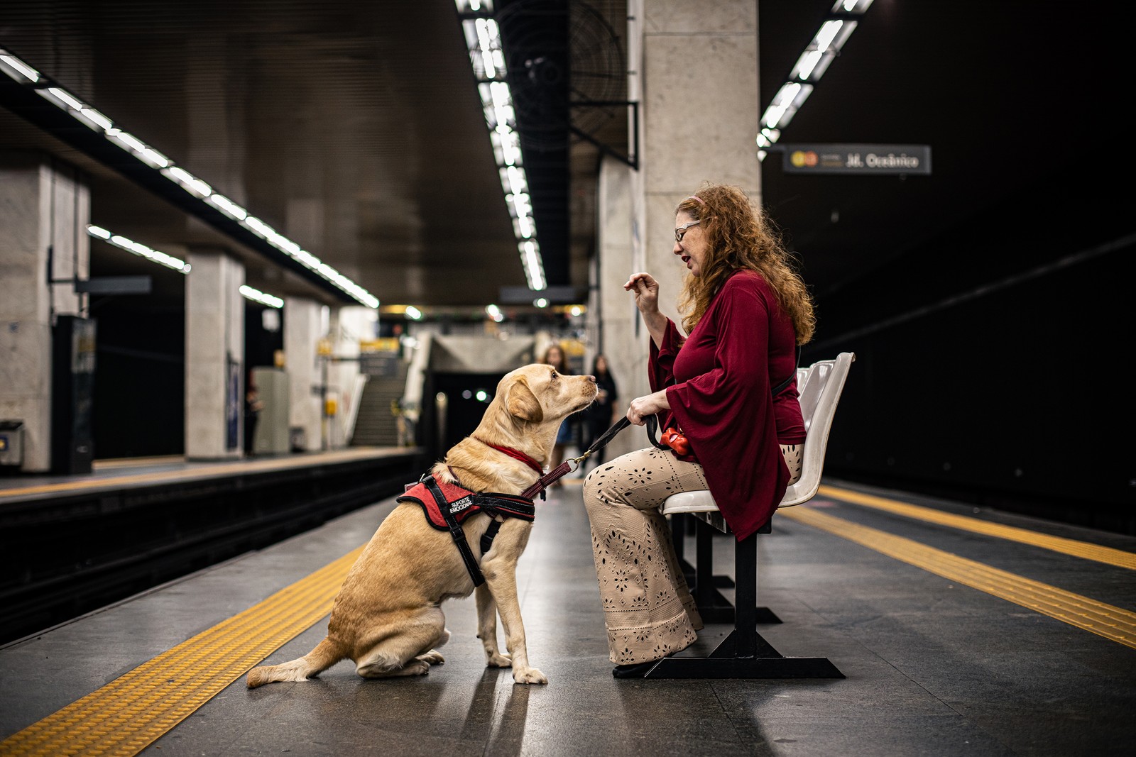 Cachorros que acompanham pessoas com transtornos de saúde mental, como ansiedade e depressão. Simone Roselin e seu cachorro Bolt. — Foto: Hermes de Paula / Agência O Globo