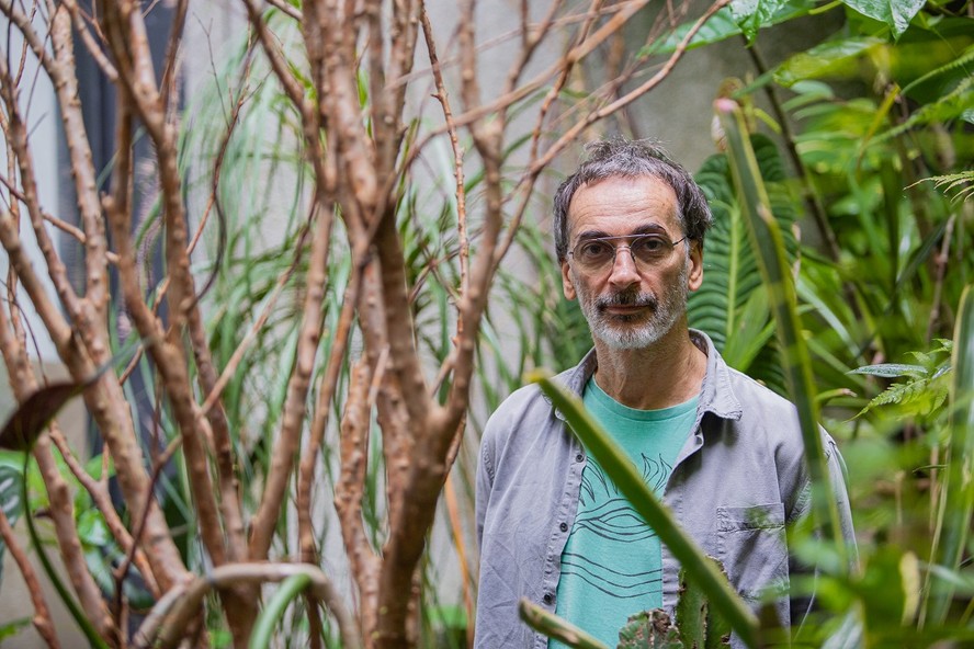 Luiz Zerbini entre as plantas de seu ateliê, na Gávea