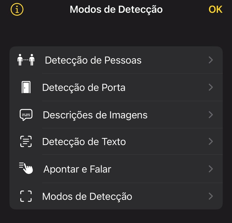O aplicativo Lupa no iPhone conta com recursos novos de detecção — Foto: Reprodução