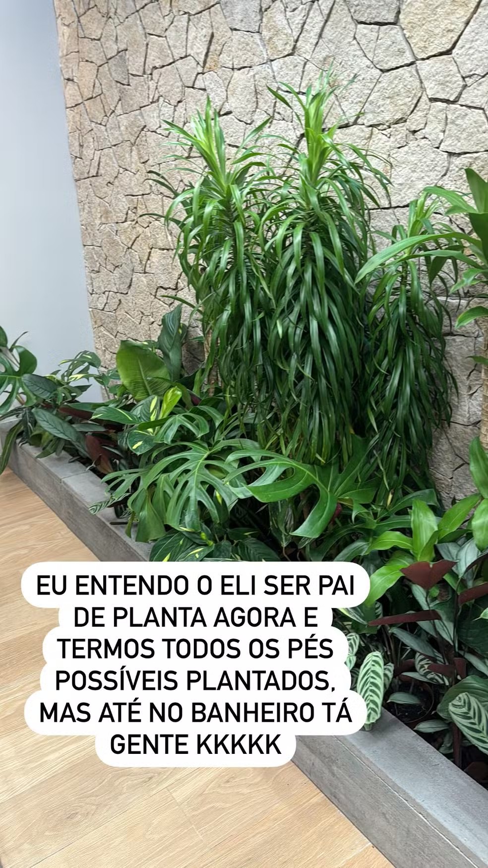 Banheiro com plantas na casa de Eliezer e Viih Tube — Foto: Reprodução/Instagram