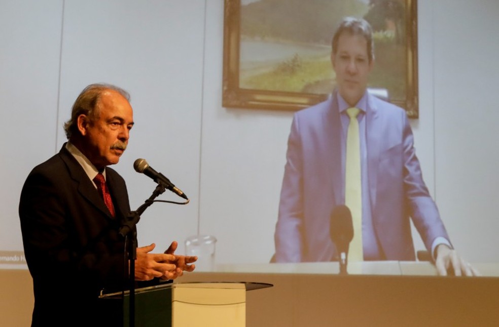 Haddad discursou, via videoconferência, em seminário organizado por Mercadante (esquerda) em março  — Foto: Gabriel de Paiva/Agência O Globo