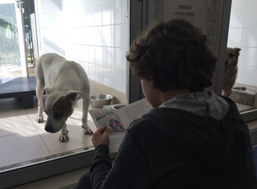 Criança lê para cachorro no Projeto Leitura — Foto: Divulgação