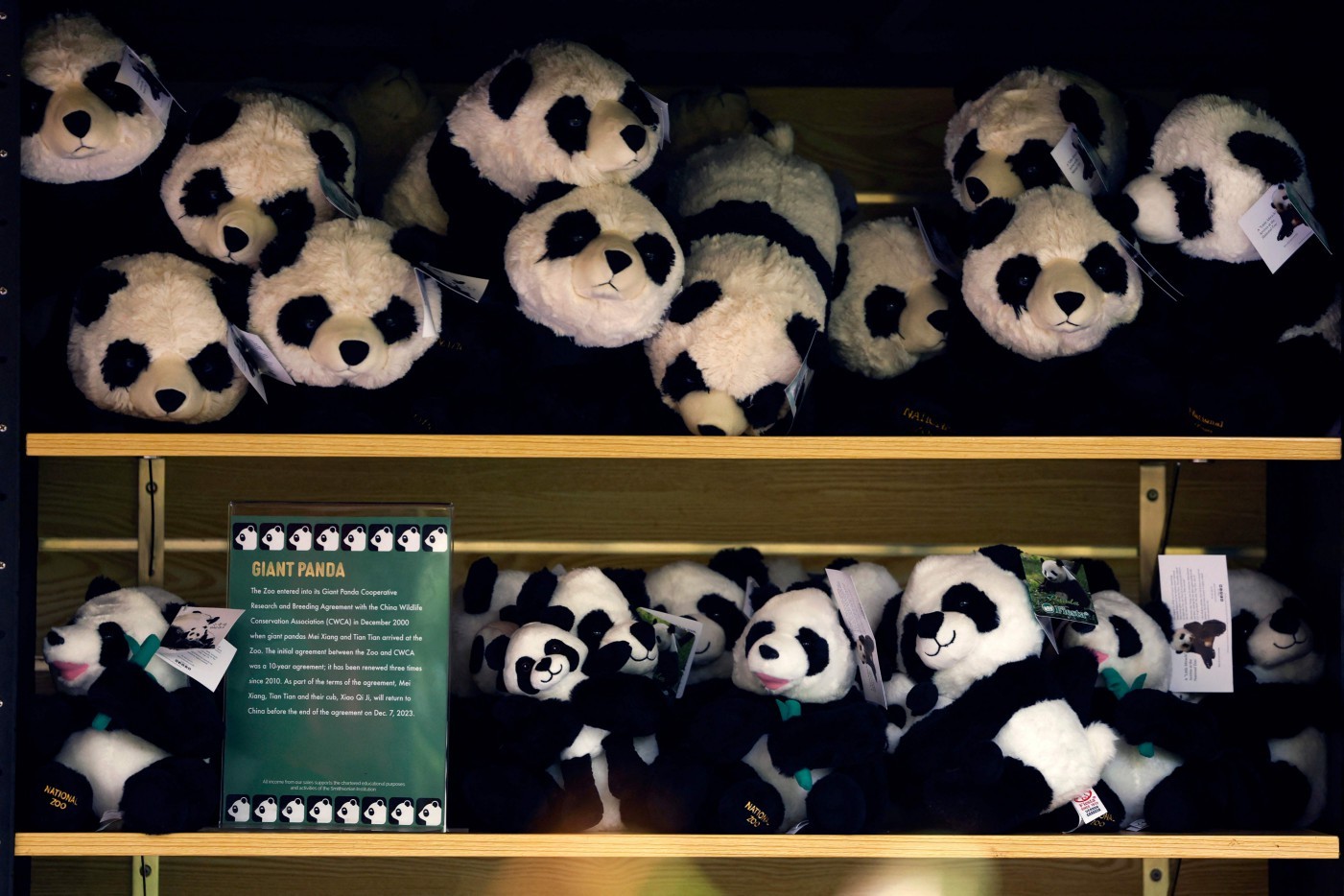 Ursinhos de pelúcia de pandas gigantes à venda em uma prateleira durante o 'Panda Palooza' no Zoológico Nacional Smithsonian em 23 de setembro de 2023 em Washington, DC — Foto: Anna Moneymaker / Getty Images via AFP