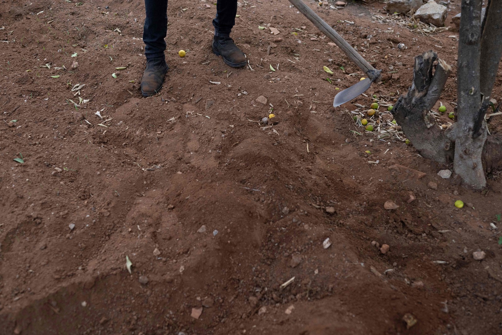 Outra ameaça à Caatinga é o êxodo rural, e o IRPAA criou um centro de formação onde ensinou cerca de 200 jovens sobre métodos agrícolas sustentáveis — Foto: Pablo Porciuncula/AFP