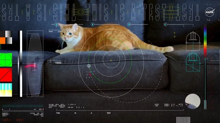 Vídeo em alta definição de gato é enviado para a Terra