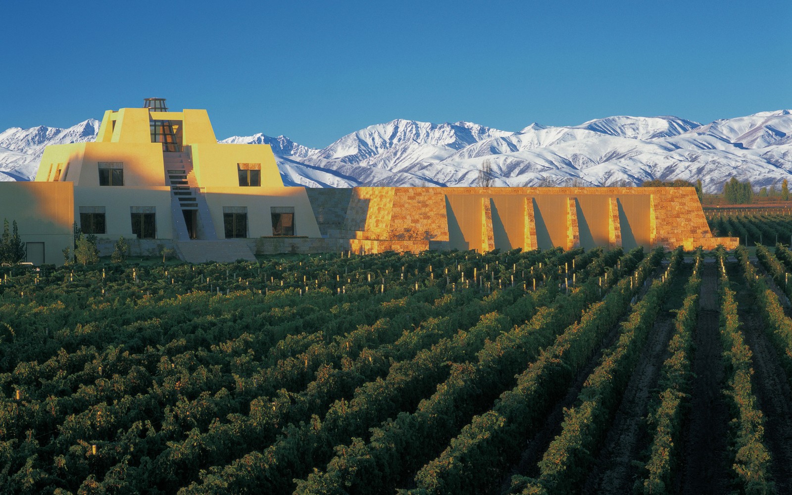 A vinícola foi fundada em 1902 e fica em Mendoza, epicentro da produção dos grandes vinhos argentinos - Foto: Divulgação