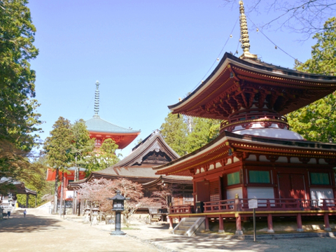 高野山