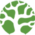 Bonsai Elasticsearch