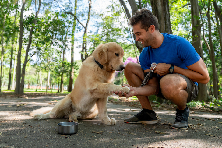 Happy Brazilian man training with his dog at the park asking him to give his paw.