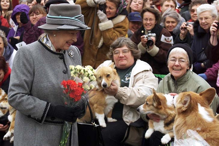 Queen Elizabeth II talks with members of the Manitoba Corgi Association during a visit to Winnipeg 08 October 2002. The queen, making her 20th trip to Canada, is the last stop on the year-long jubilee tour celebrating her 50-year reign.