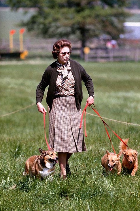 Queen Elizabeth II with some of her corgis walking the Cross Country course during the second day of the Windsor Horse Trials.