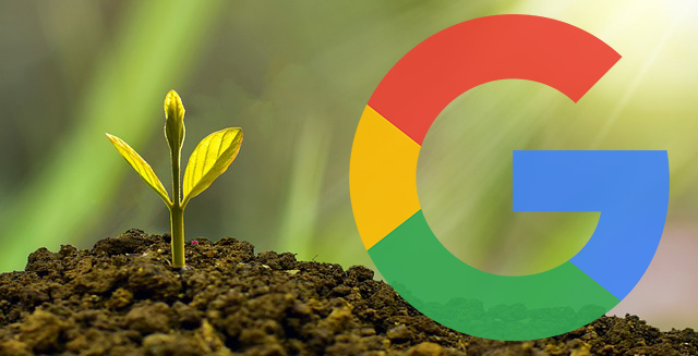 Google Update Rollout Seeds