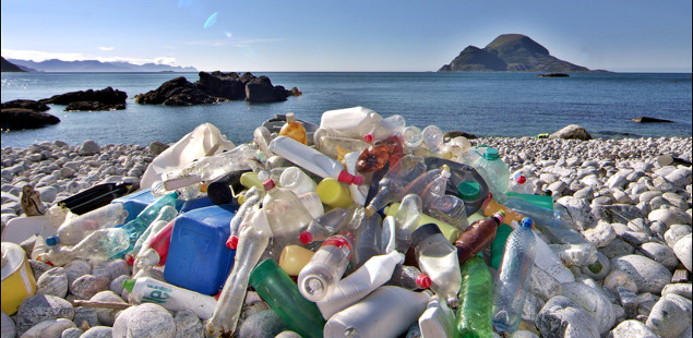 Creating the World's First Recyclable Shampoo Bottle Made with Beach Plastic