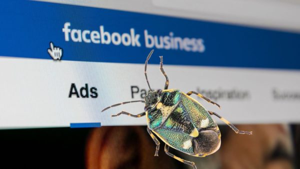 facebook-ads-bug-1920x1080-1